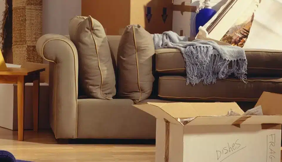 Furniture Removalist Bulimba