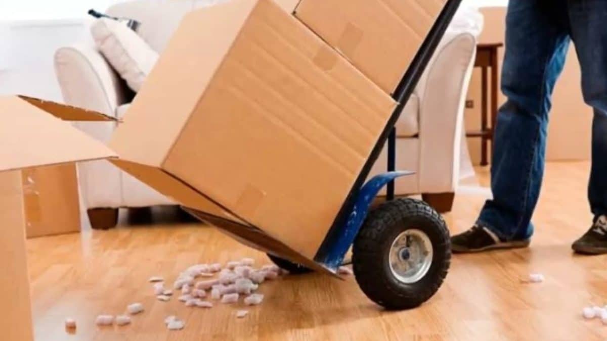 Furniture Removalist North Lakes