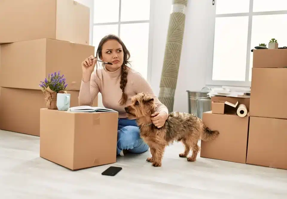 Moving with Pets? 7 Tips from Brisbane’s Leading House Movers