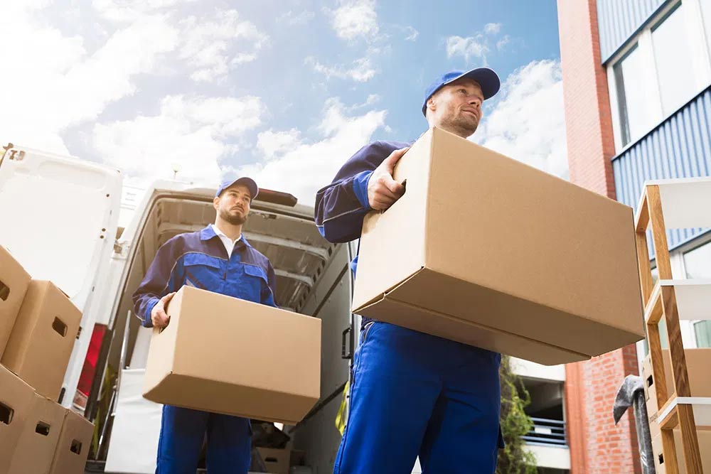 What Services Are Offered by Alderley Removalists